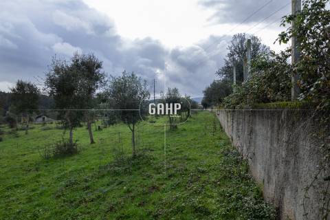 Terreno Rústico  Venda em Oliveira do Mondego e Travanca do Mondego,Penacova