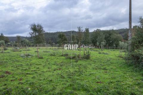 Terreno Rústico  Venda em Oliveira do Mondego e Travanca do Mondego,Penacova