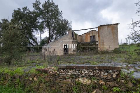 Terreno Rústico  Venda em Oliveira do Mondego e Travanca do Mondego,Penacova