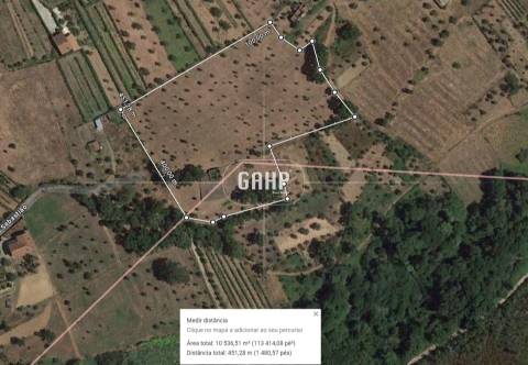 Terreno Rústico  Venda em Oliveira do Mondego e Travanca do Mondego,Penacova