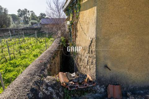 Moradia para Restaurar  Venda em Cernache,Coimbra