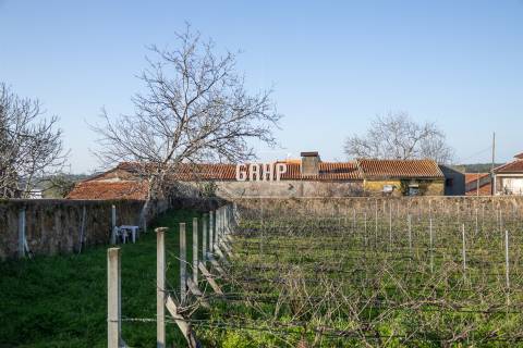 Moradia para Restaurar  Venda em Cernache,Coimbra