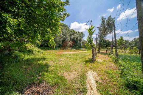 DUAS MORADIAS E ANEXO EM REVELHE - FAFE!