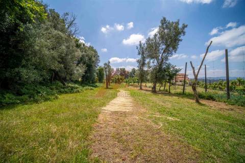 DUAS MORADIAS E ANEXO EM REVELHE - FAFE!