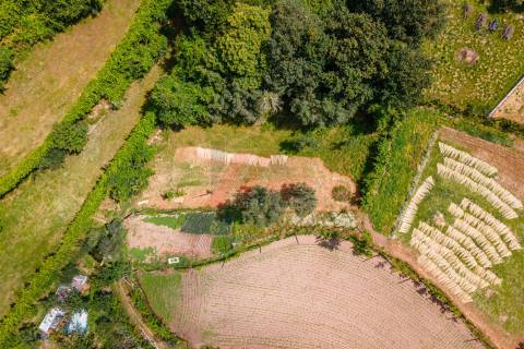 DUAS MORADIAS E ANEXO EM REVELHE - FAFE!