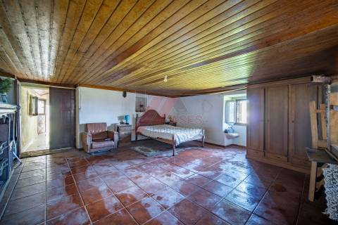 QUINTA EM LAPELA - CABECEIRAS DE BASTO!