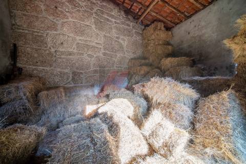 QUINTA EM LAPELA - CABECEIRAS DE BASTO!