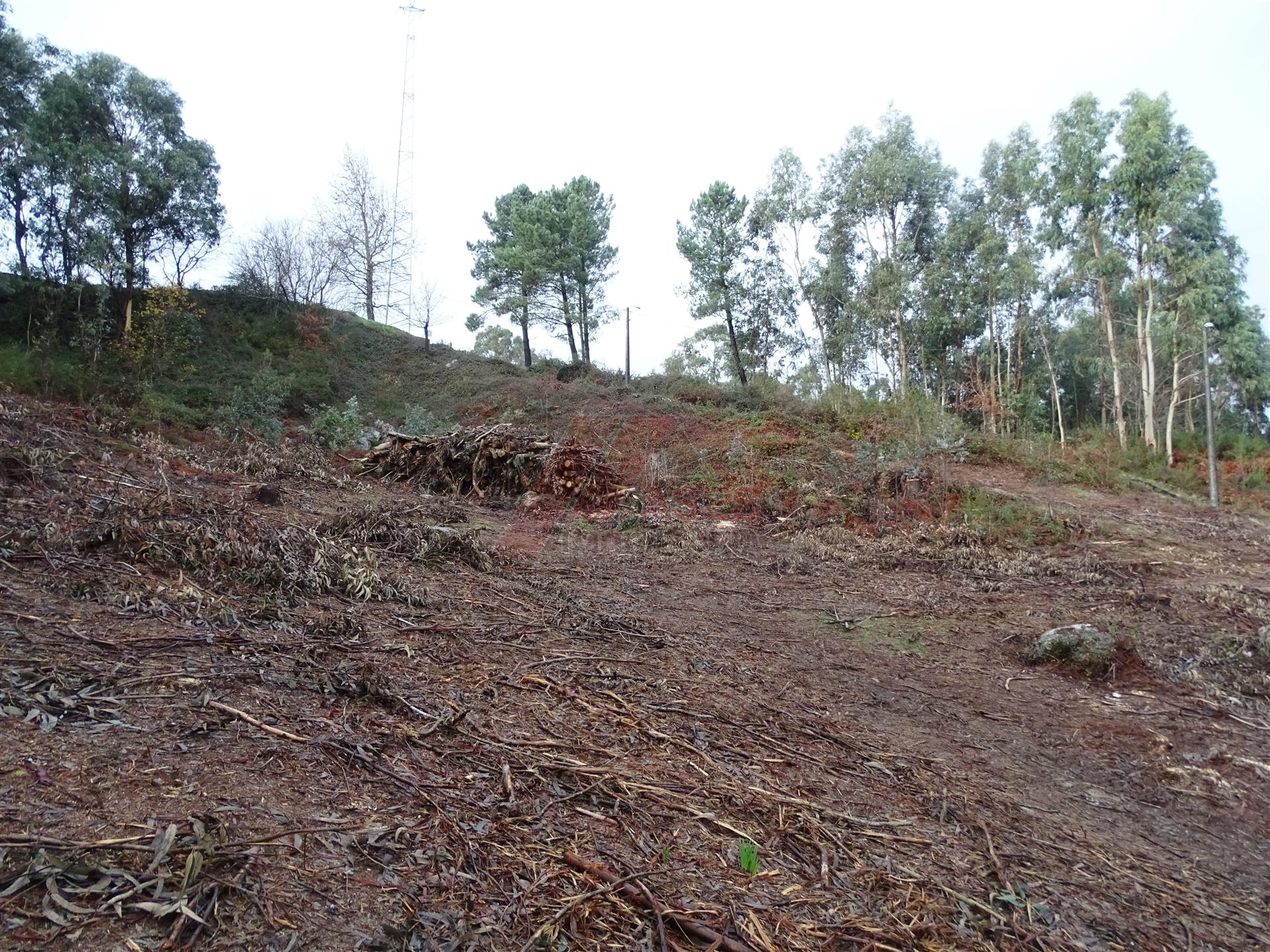 Lote de Terreno  Venda em Estorãos,Fafe