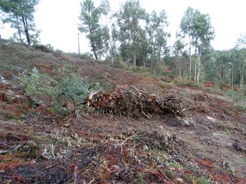 Lote de Terreno  Venda em Estorãos,Fafe