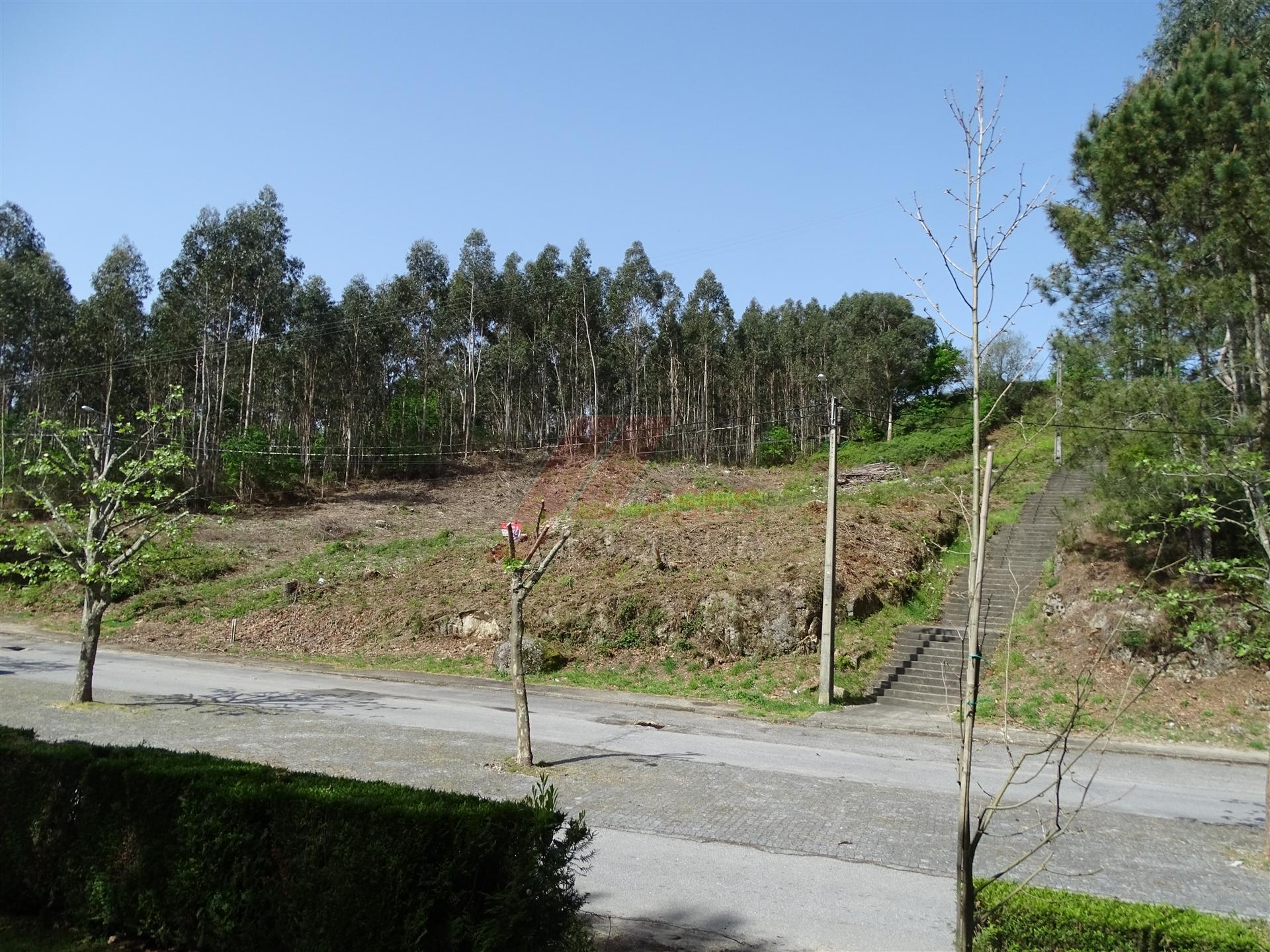 Lote de Terreno  Venda em Estorãos,Fafe