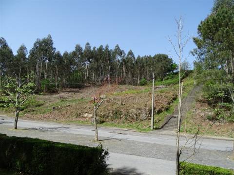Lote de Terreno  Venda em Estorãos,Fafe