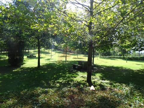 Lote de Terreno  Venda em Estorãos,Fafe