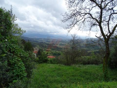 Moradia para Restaurar T2 Venda em Ribas,Celorico de Basto