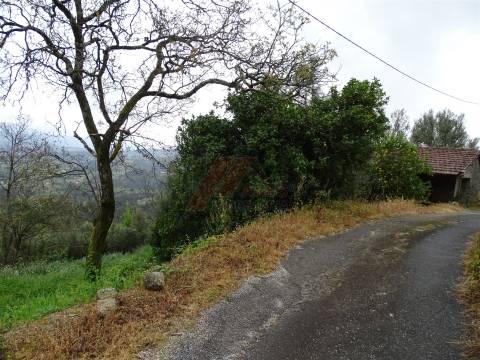 Moradia para Restaurar T2 Venda em Ribas,Celorico de Basto