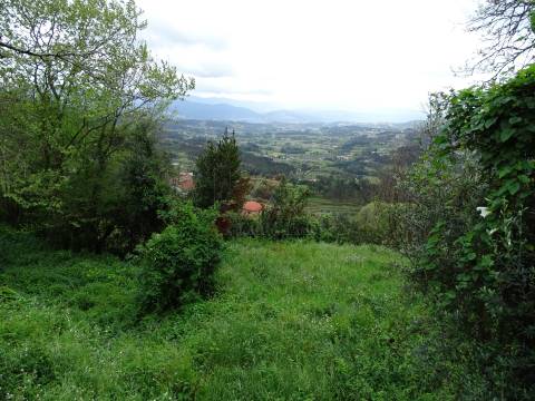 Moradia para Restaurar T2 Venda em Ribas,Celorico de Basto