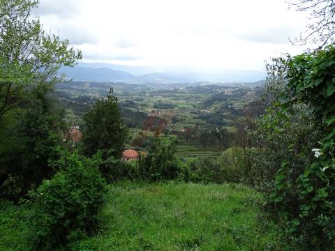 Moradia para Restaurar T2 Venda em Ribas,Celorico de Basto