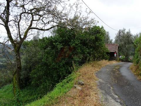 Moradia para Restaurar T2 Venda em Ribas,Celorico de Basto
