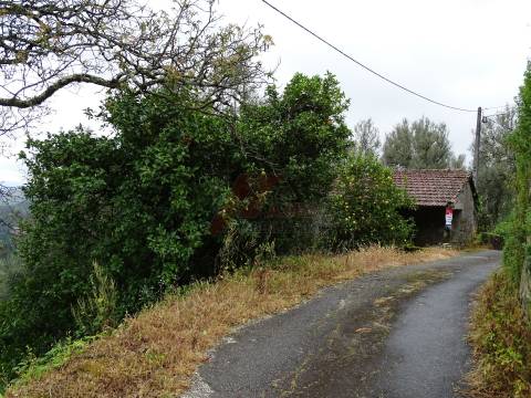 Moradia para Restaurar T2 Venda em Ribas,Celorico de Basto