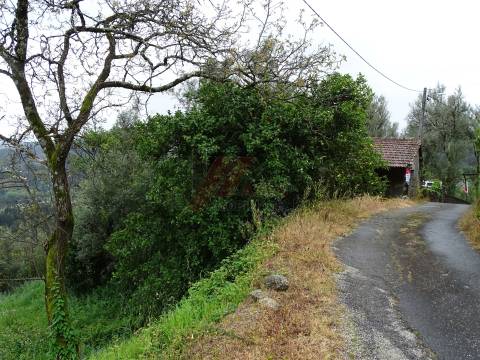 Moradia para Restaurar T2 Venda em Ribas,Celorico de Basto