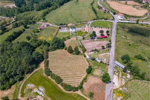 Terreno a 3 km do Centro de Fafe com Vinha e Nascente em Golães- Fafe!