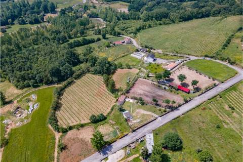 Terreno a 3 km do Centro de Fafe com Vinha e Nascente em Golães- Fafe!