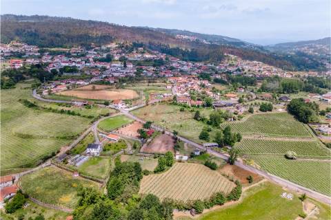 Terreno a 3 km do Centro de Fafe com Vinha e Nascente em Golães- Fafe!