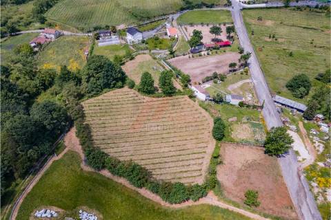 Terreno a 3 km do Centro de Fafe com Vinha e Nascente em Golães- Fafe!