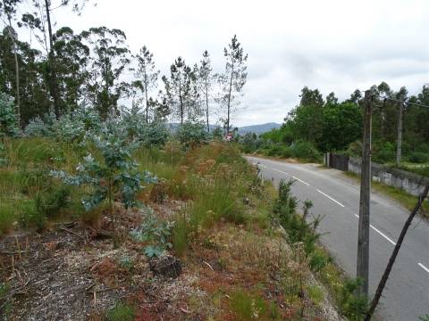 TERRENO COM ÓTIMAS ÁREAS EM SILVARES SÃO MARTINHO - FAFE!
