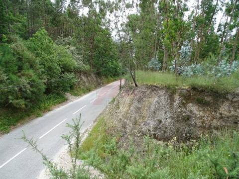 TERRENO COM ÓTIMAS ÁREAS EM SILVARES SÃO MARTINHO - FAFE!