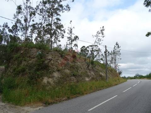TERRENO COM ÓTIMAS ÁREAS EM SILVARES SÃO MARTINHO - FAFE!