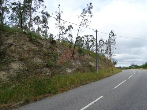 TERRENO COM ÓTIMAS ÁREAS EM SILVARES SÃO MARTINHO - FAFE!