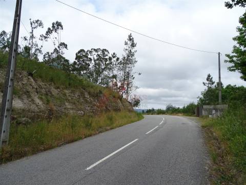 TERRENO COM ÓTIMAS ÁREAS EM SILVARES SÃO MARTINHO - FAFE!