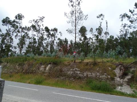 TERRENO COM ÓTIMAS ÁREAS EM SILVARES SÃO MARTINHO - FAFE!
