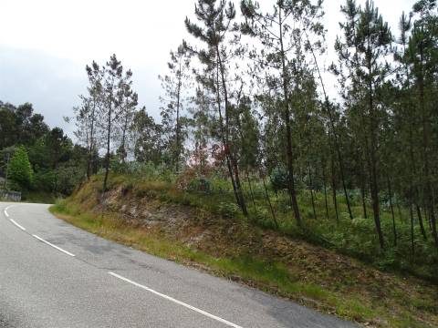 TERRENO COM ÓTIMAS ÁREAS EM SILVARES SÃO MARTINHO - FAFE!