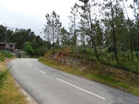 TERRENO COM ÓTIMAS ÁREAS EM SILVARES SÃO MARTINHO - FAFE!