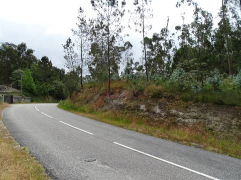 TERRENO COM ÓTIMAS ÁREAS EM SILVARES SÃO MARTINHO - FAFE!