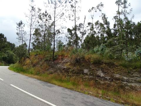 TERRENO COM ÓTIMAS ÁREAS EM SILVARES SÃO MARTINHO - FAFE!