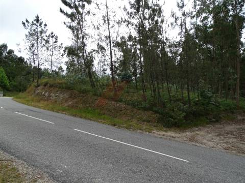 TERRENO COM ÓTIMAS ÁREAS EM SILVARES SÃO MARTINHO - FAFE!