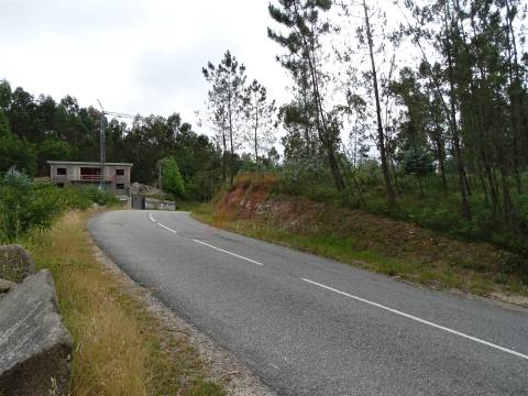 TERRENO COM ÓTIMAS ÁREAS EM SILVARES SÃO MARTINHO - FAFE!