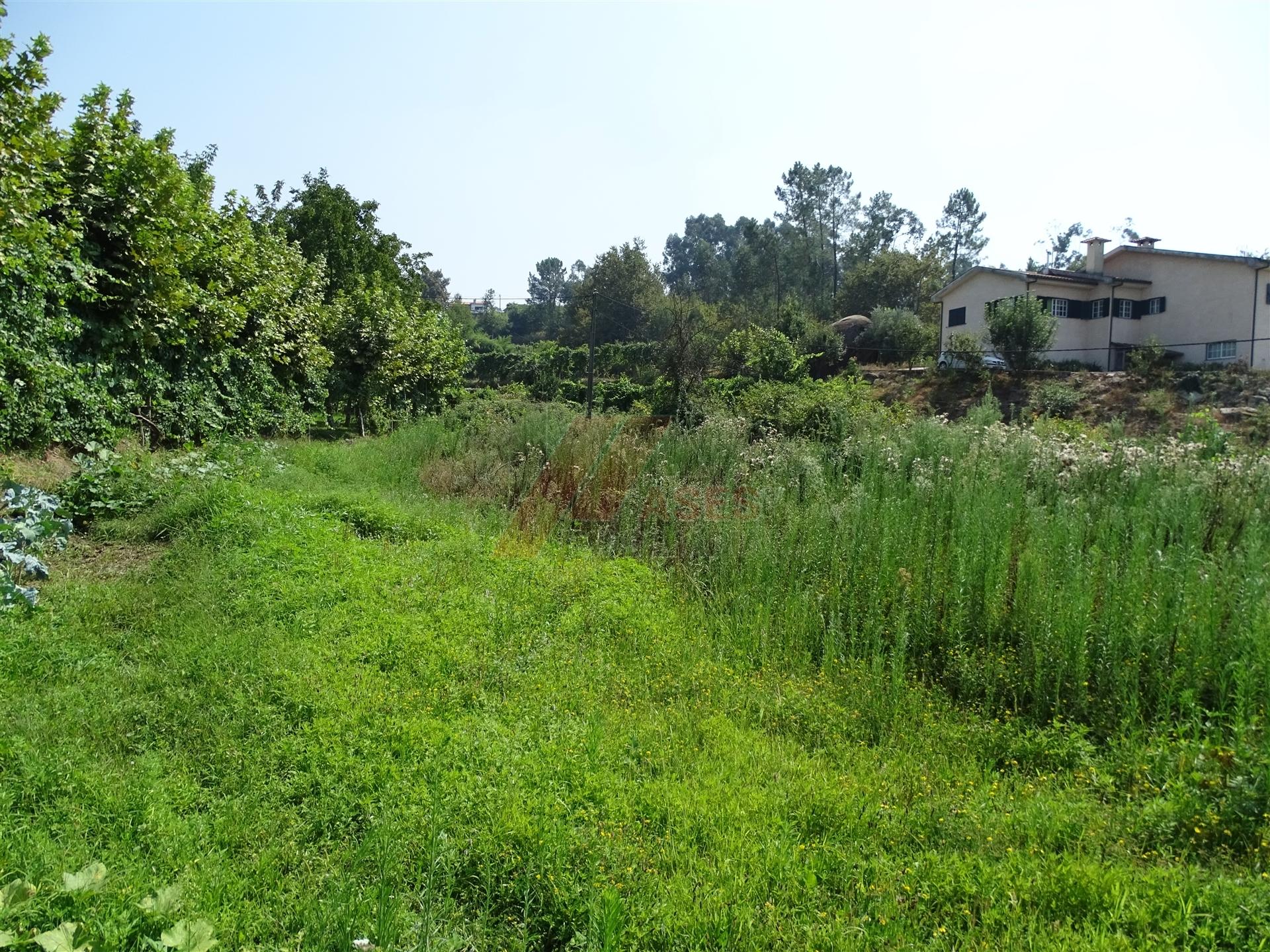 Terreno inserido em zona de construção para venda em Antime - Fafe!