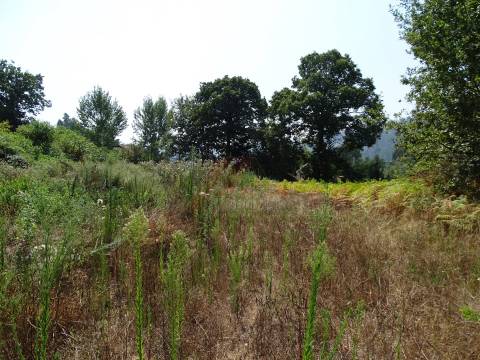 Terreno inserido em zona de construção para venda em Antime - Fafe!