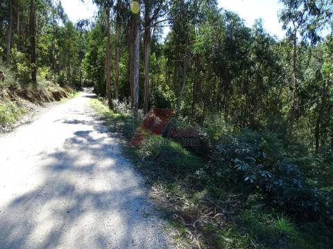 TERRENO PARA CONSTRUÇÃO EM SERAFÃO - FAFE!