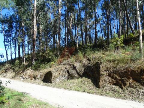 TERRENO PARA CONSTRUÇÃO EM SERAFÃO - FAFE!