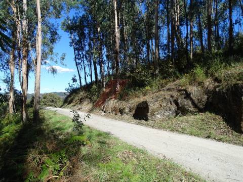 TERRENO PARA CONSTRUÇÃO EM SERAFÃO - FAFE!