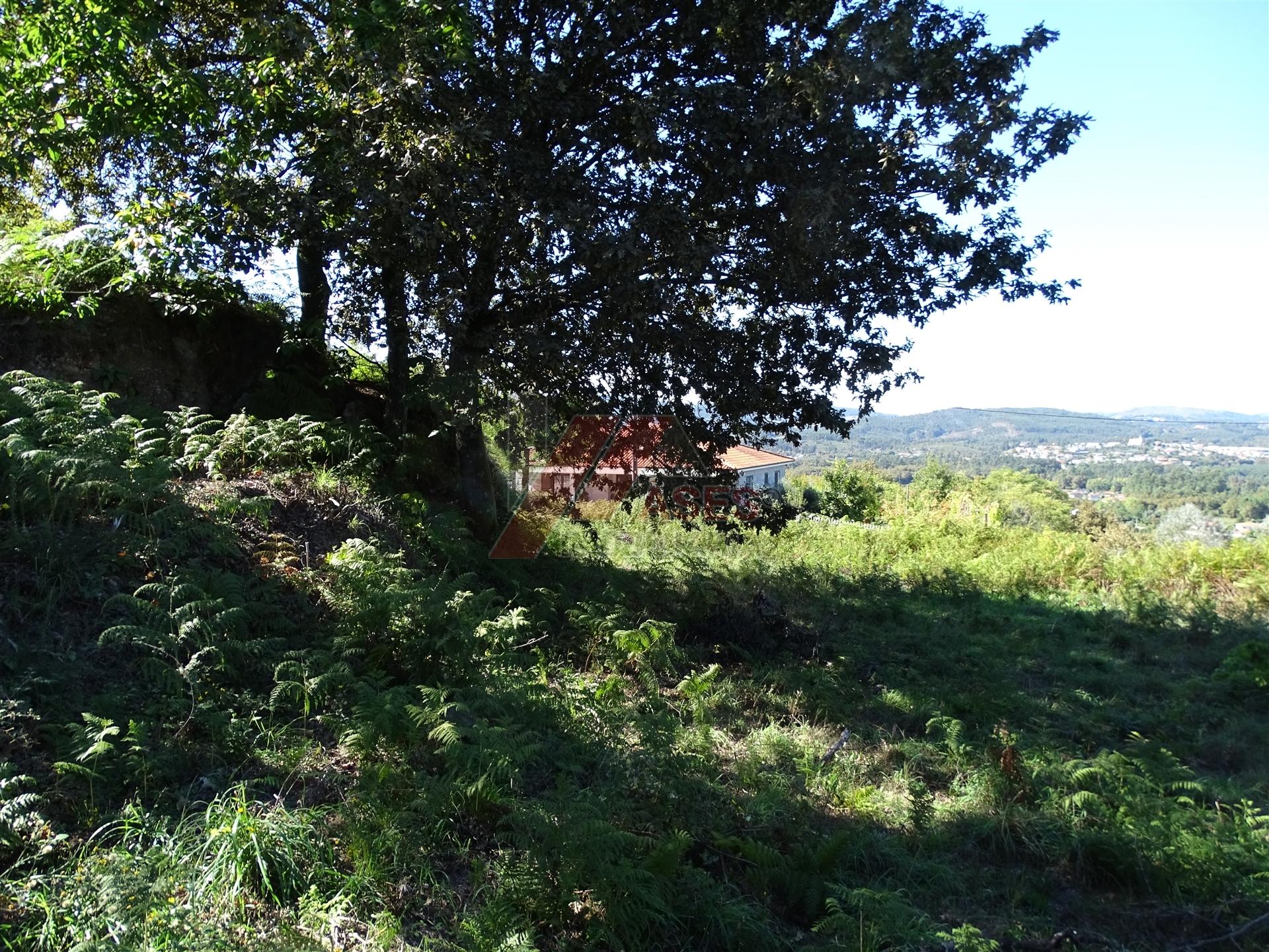 TERRENO PARA CONSTRUÇÃO EM SERAFÃO - FAFE!