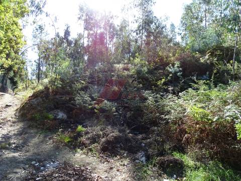TERRENO PARA CONSTRUÇÃO EM SERAFÃO - FAFE!
