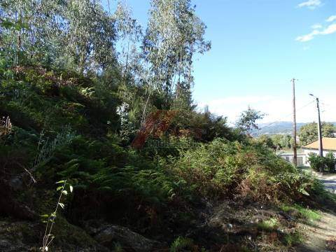 TERRENO PARA CONSTRUÇÃO EM SERAFÃO - FAFE!