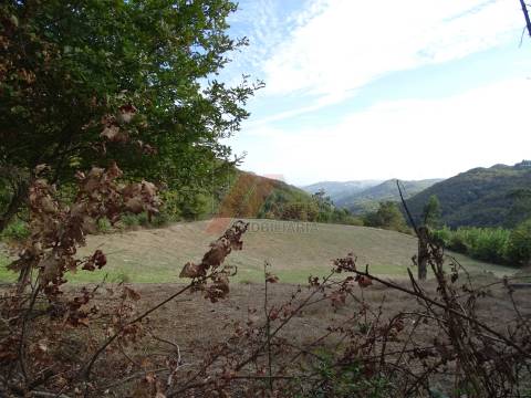 Moradia Rústica e Terreno!