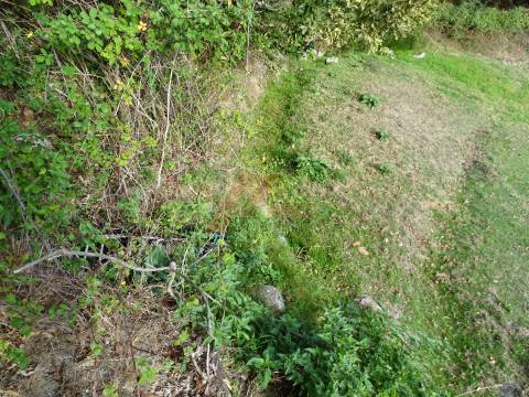 Moradia Rústica e Terreno!