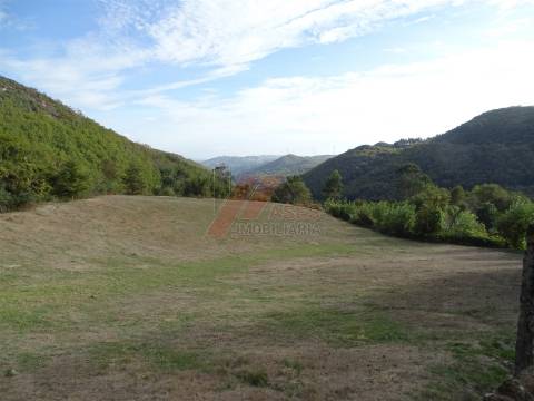 Moradia Rústica e Terreno!